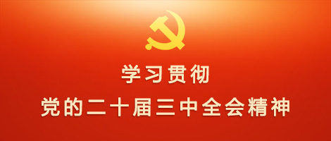 学习贯彻党的二十三届三中全会精神